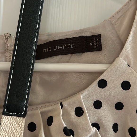 The Limited Dress - Picture 3 of 4